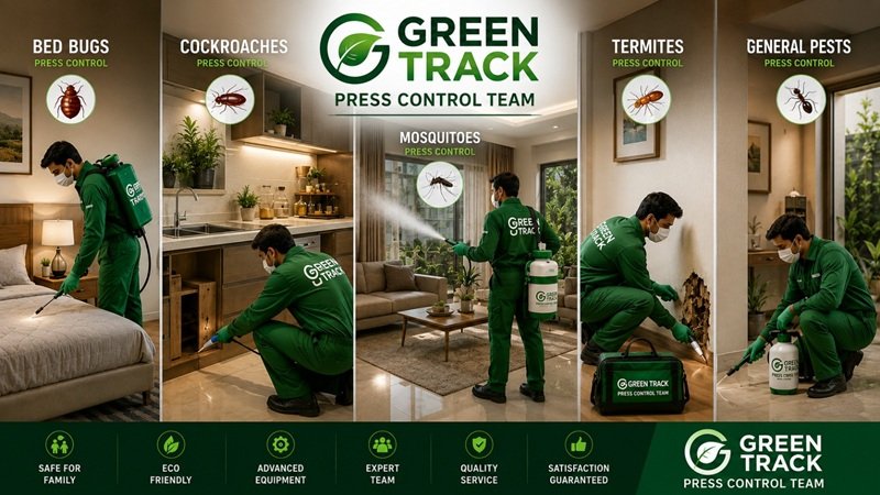 Termite inspection